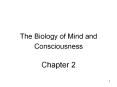 The Biology of Mind and Consciousness  Chapter 2 PowerPoint PPT Presentation