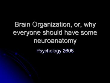 Brain Organization, or, why everyone should have some neuroanatomy