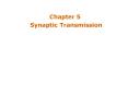 Synaptic Transmission PowerPoint PPT Presentation
