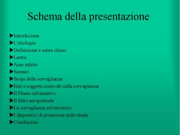 Schema della presentazione