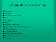 Schema della presentazione