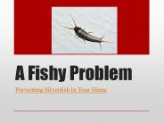 A Fishy Problem – Preventing Silverfish In Your Home