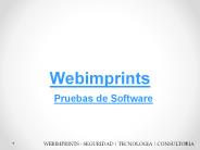 Pruebas de Software en México