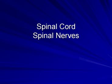 Spinal Cord Spinal Nerves