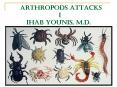 Arthropods Attacks I IHAB YOUNIS, M.D. PowerPoint PPT Presentation