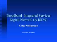 Broadband Integrated Services Digital Network (B-ISDN)