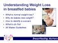 Understanding Weight Loss in breastfed babies PowerPoint PPT Presentation