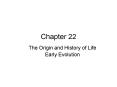 The Origin and History of Life PowerPoint PPT Presentation