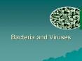 Bacteria and Viruses PowerPoint PPT Presentation