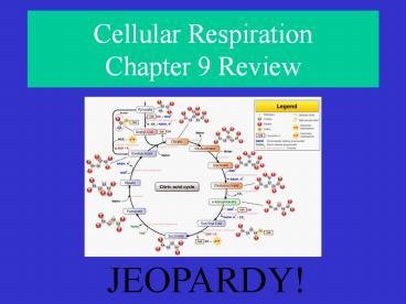 Cellular Respiration Chapter 9 Review