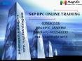 sap bpc online training PowerPoint PPT Presentation