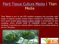 Plant Tissue Culture Media - What Are The Uses In Growing Microorganisms? PowerPoint PPT Presentation