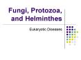 Fungi, Protozoa, and Helminthes PowerPoint PPT Presentation