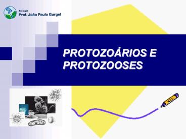 PROTOZO