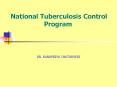 National Tuberculosis Control Program PowerPoint PPT Presentation