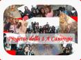 Progetto della 1 A Casaregis PowerPoint PPT Presentation
