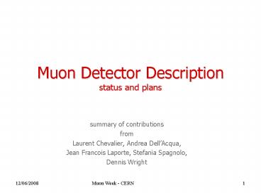 Muon Detector Description status and plans
