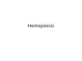 Hemopoiesis PowerPoint PPT Presentation