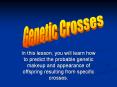 In this lesson, you will learn how to predict the probable genetic makeup and appearance of offspring resulting from specific crosses. PowerPoint PPT Presentation
