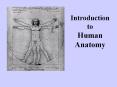 Introduction to Human Anatomy PowerPoint PPT Presentation