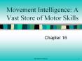 Movement Intelligence: A Vast Store of Motor Skills PowerPoint PPT Presentation
