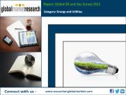Global Oil and Gas Survey 2013 | Research Report