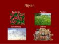 Rijken PowerPoint PPT Presentation