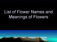 List of Flower Names and Meanings of Flowers PowerPoint PPT Presentation