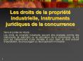 Les droits de la propri PowerPoint PPT Presentation