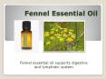 Fennel Essential Oil PowerPoint PPT Presentation