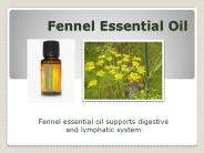 Fennel Essential Oil