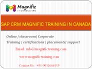 sap customer relationship management remote server access
