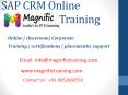 professional in sap customer relationship management(crm) online training PowerPoint PPT Presentation