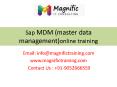 sap master data management mdm operations and configuration PowerPoint PPT Presentation
