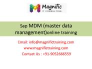 sap master data management mdm operations and configuration