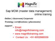 professional in sap master data management(mdm) online training