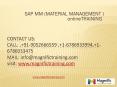 professional in sap material management(mm) online training PowerPoint PPT Presentation