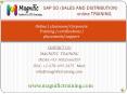 sap sales and distribution(sd)online training in india PowerPoint PPT Presentation
