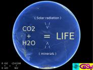 6 CO2  C2H12O6