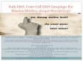 Bulk SMS, Voice Call SMS Campaign For Mission Election 2014@ 8010501050 PowerPoint PPT Presentation