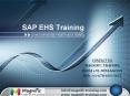 sap ehs online training PowerPoint PPT Presentation