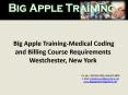 Medical Coding and Billing Course Requirements Westchester, New York PowerPoint PPT Presentation