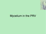 Mycelium in the PRV