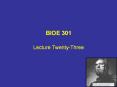 BIOE 301 PowerPoint PPT Presentation