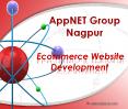 Ecommerce Website Development IT Solution Nagpur PowerPoint PPT Presentation
