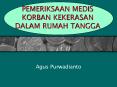 PEMERIKSAAN MEDIS KORBAN KEKERASAN DALAM RUMAH TANGGA PowerPoint PPT Presentation