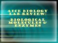 AICE Biology Lab Review:  Biological Molecules PowerPoint PPT Presentation