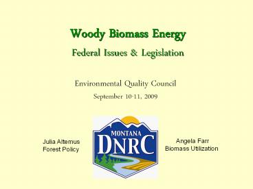 Woody Biomass Energy Federal Issues