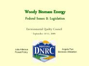 Woody Biomass Energy Federal Issues