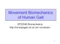 Movement Biomechanics of Human Gait PowerPoint PPT Presentation